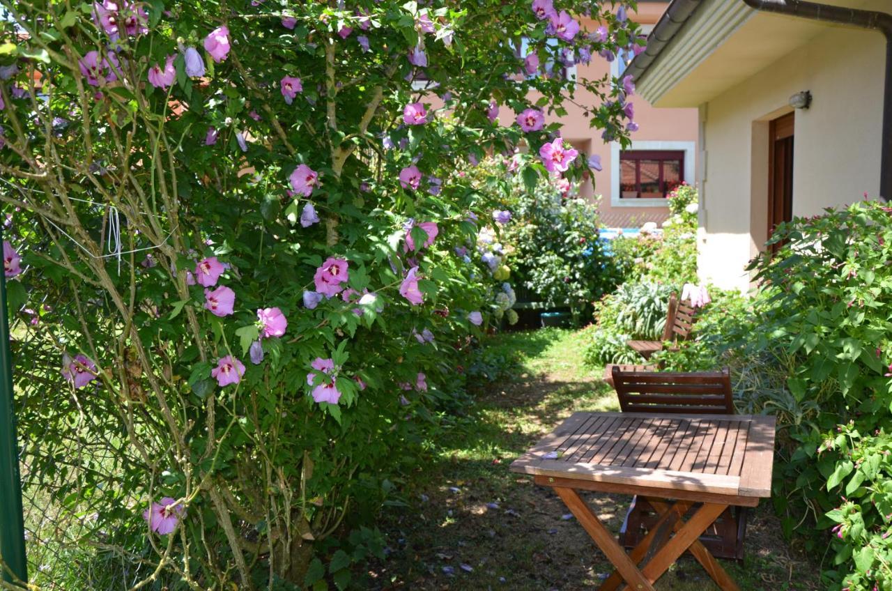 Hotel Arenas De Cabrales- Apartamentos المظهر الخارجي الصورة