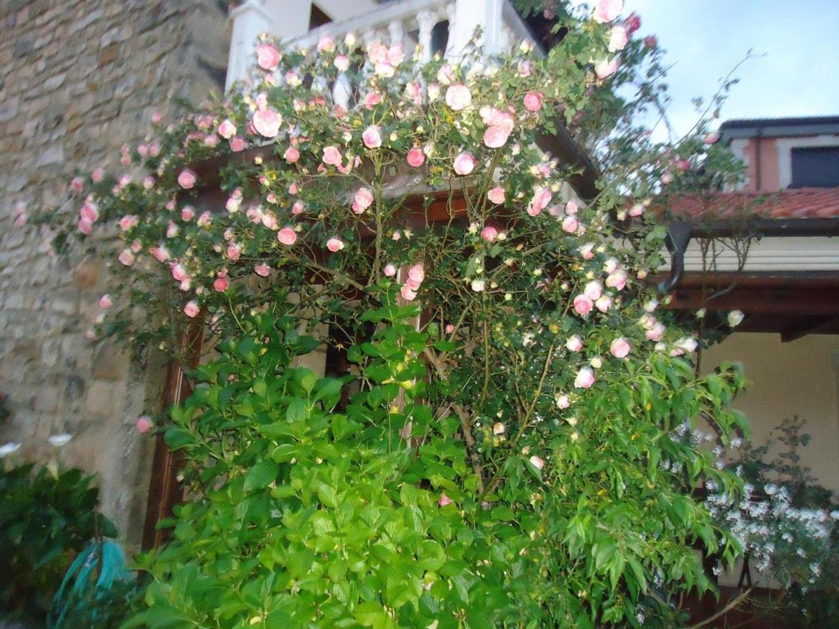 Hotel Arenas De Cabrales- Apartamentos المظهر الخارجي الصورة